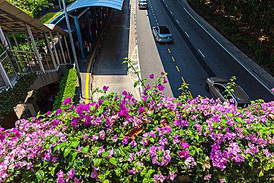 心理恐怖新作《Holstin》发布春季未来游戏展预告片